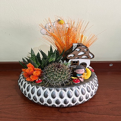 seramik saks�da teraryum