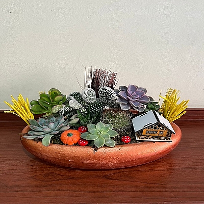 seramik saks�da teraryum