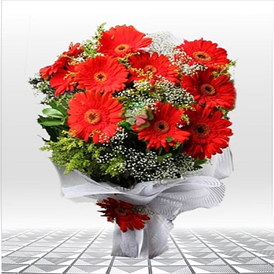 Krmz gerbera buketi