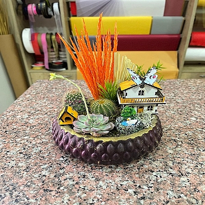 seramik saksda teraryum