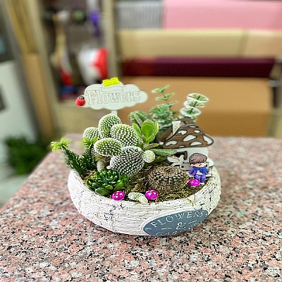 seramik vazoda kakts teraryum