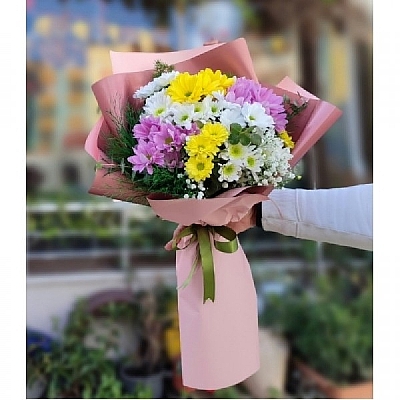 Kark renkte papatyalar