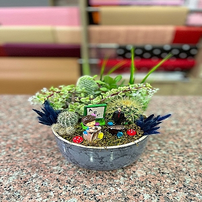 seramik saksda teraryum