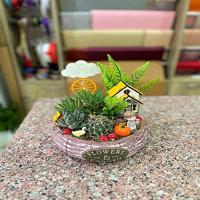 seramik vazoda kakts teraryum