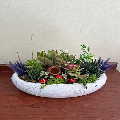 seramik vazoda kakt�s teraryum