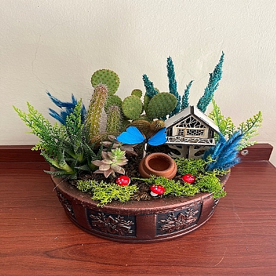 Kakt�s ve sukulent arajman�