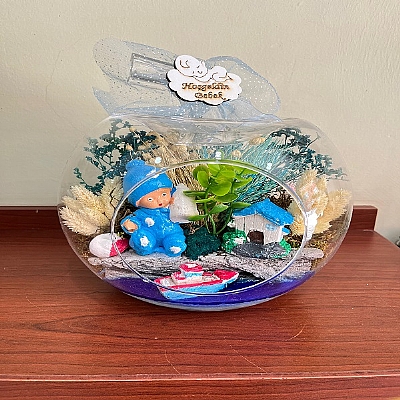 Mavi bebekli teraryum orta boy