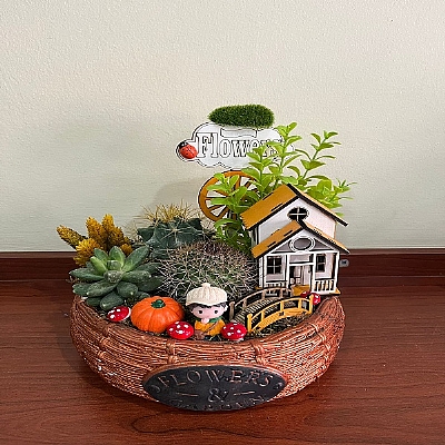 seramik vazoda kakt�s teraryum