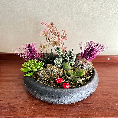 seramik saksda teraryum