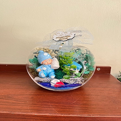 Mavi bebekli teraryum 