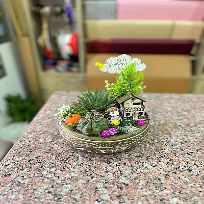 seramik vazoda kakts teraryum