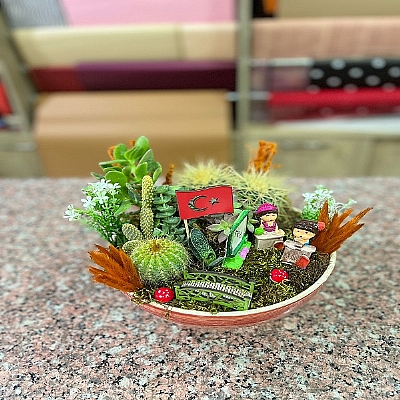 seramik saksda teraryum