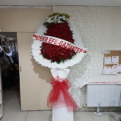 Krmz elenk(gelin duva)