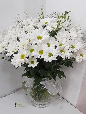 Kalp vazoda papatya