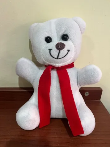 25 cm ayıcık