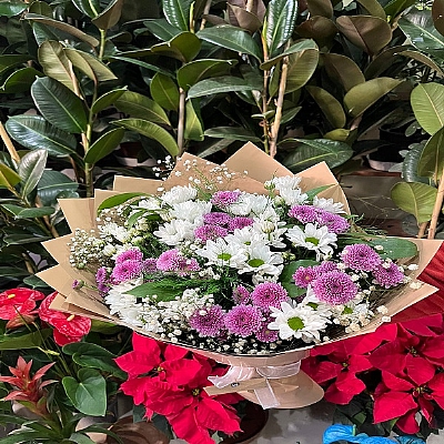 Renkli Papatya Buketi