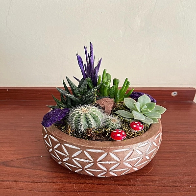 seramik vazoda kakts teraryum