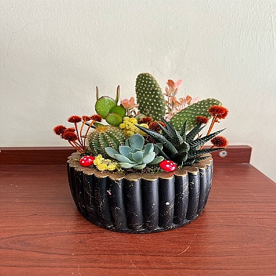 seramik saksda teraryum