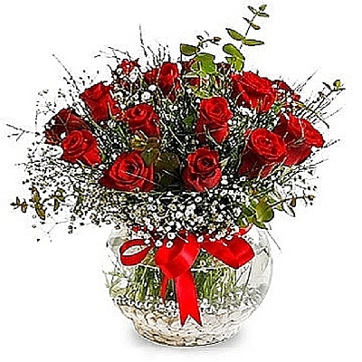 Fanusta 9 gll arajman