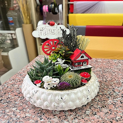 seramik vazoda kakts teraryum