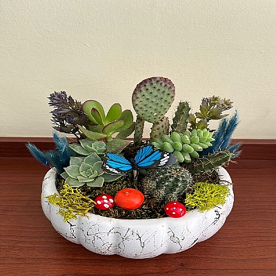 seramik saks�da teraryum