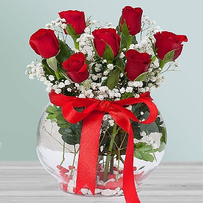 Fanusta 7 gll arajman