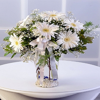 Vazoda beyaz gerbera